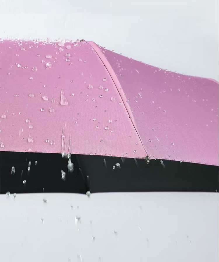 folding umbrella
